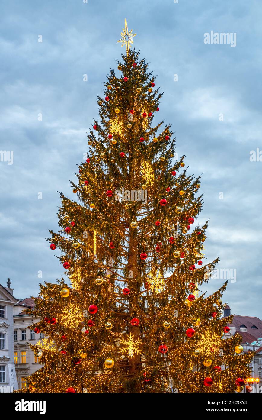 Decorated and illuminated christmas tree Stock Photo