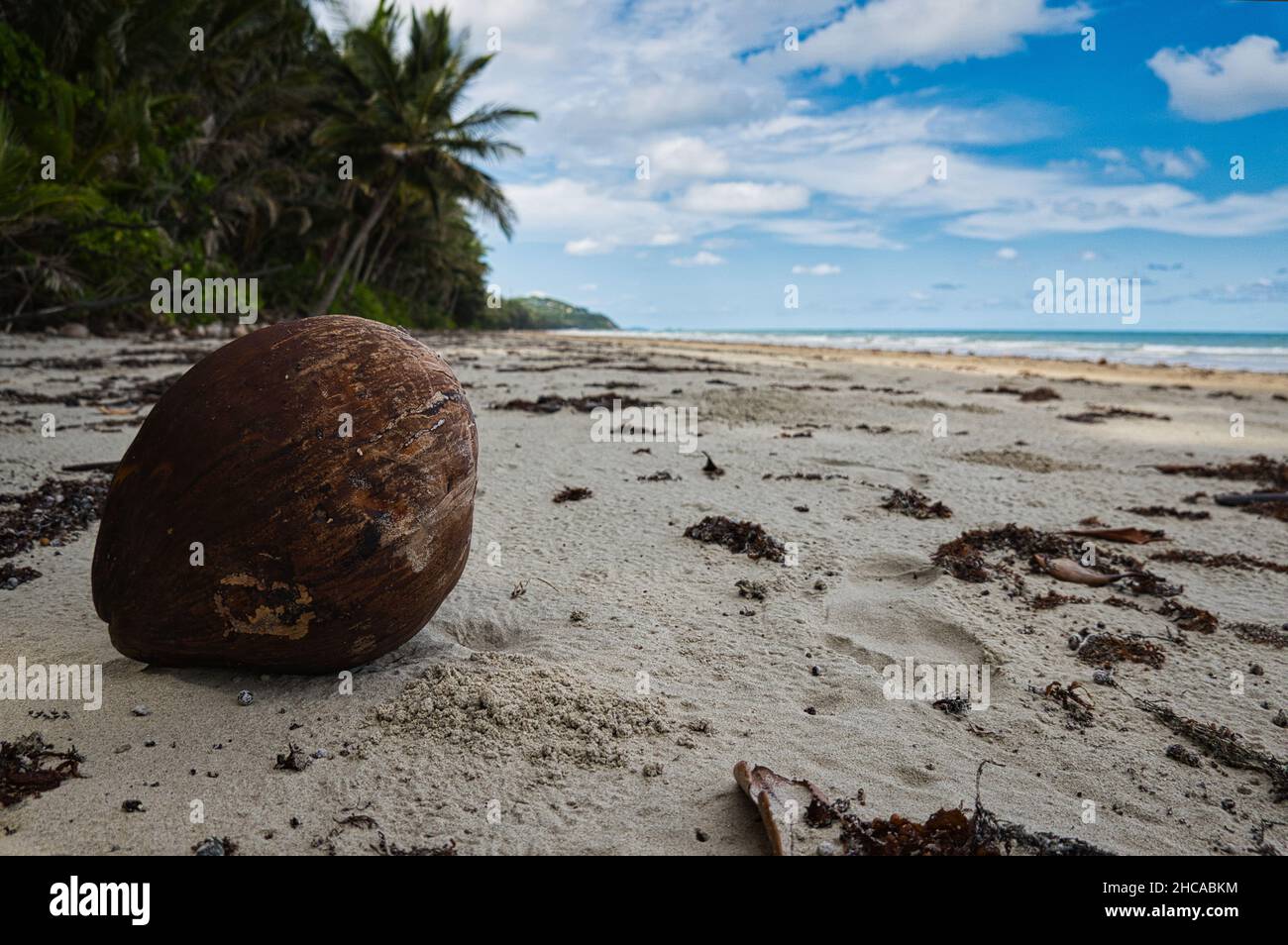 Coconut on the beach with a footprint nearby in far north queensland