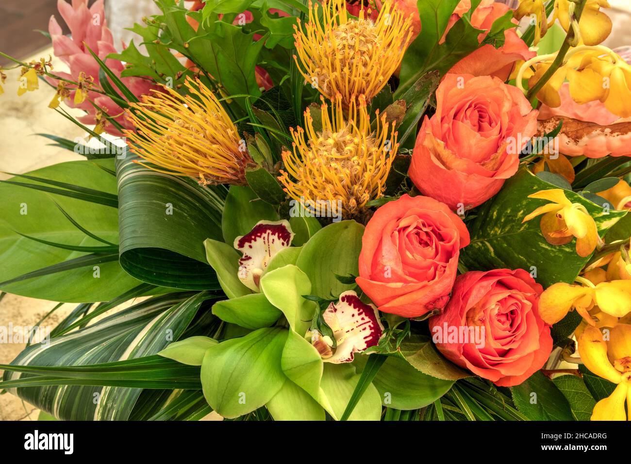 Bright yellow pincushion protea flowers Leucospermum in a tropical