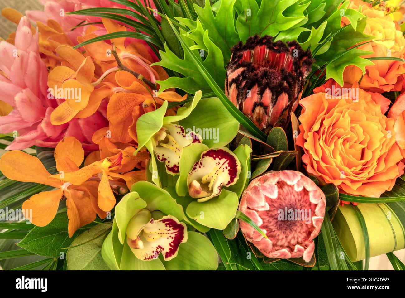 Bright yellow pincushion protea flowers Leucospermum in a tropical