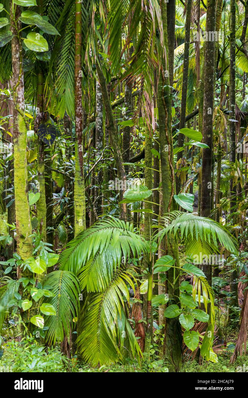 Hawaii ecology hi-res stock photography and images - Alamy