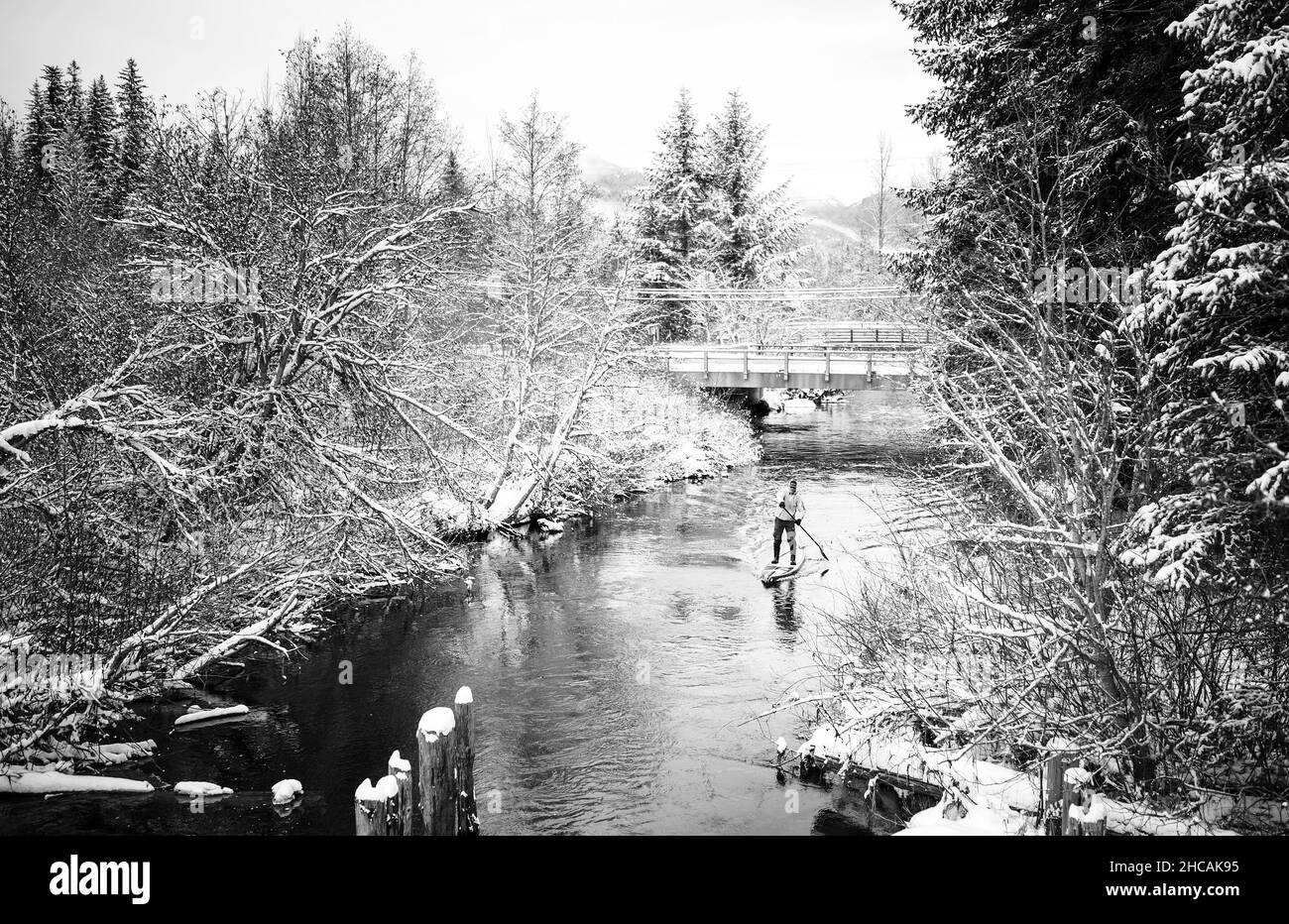 A paddle boarder paddles up a Canadian river during a snowstorm.  Whistler BC, Canada. Stock Photo