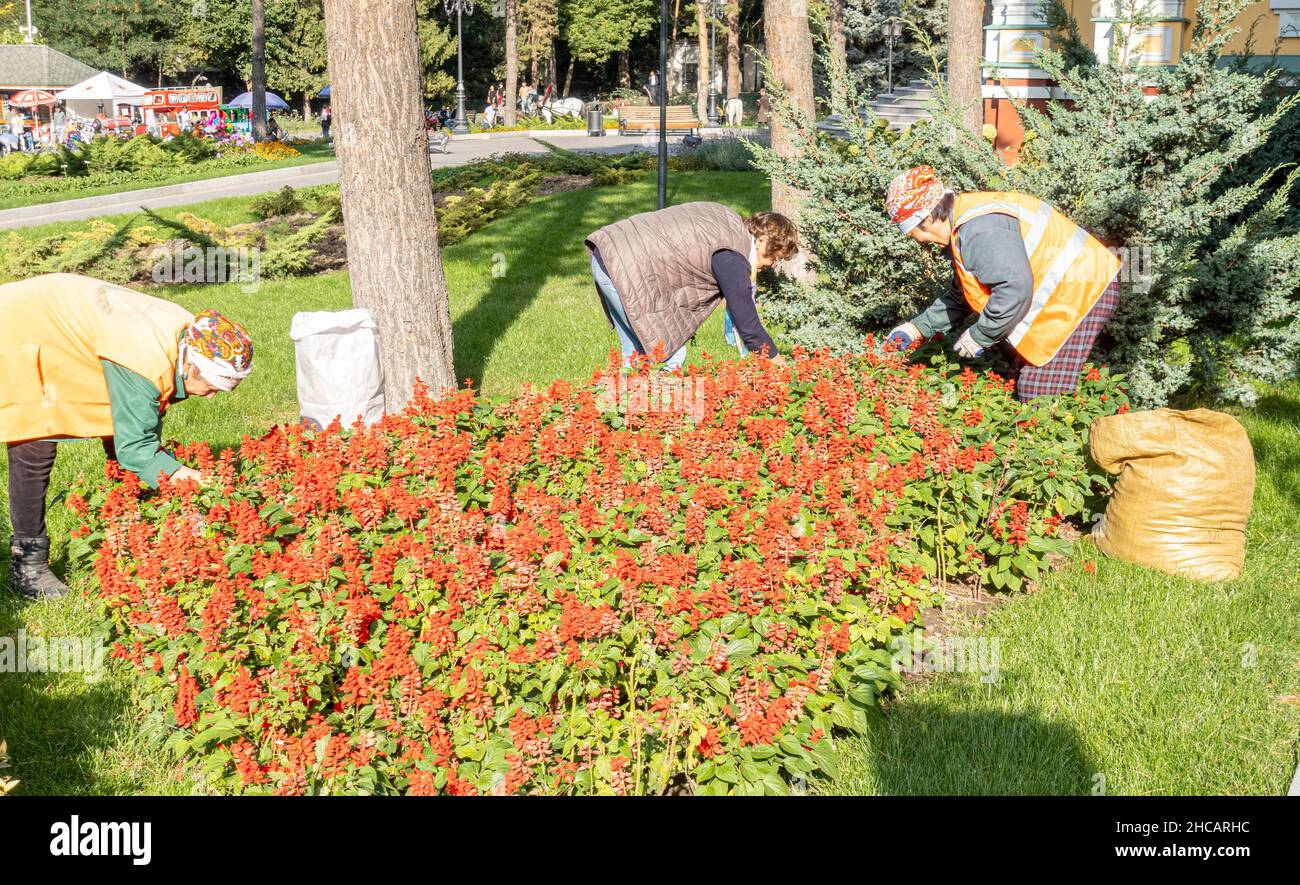 Kazakh women planting flowers in Almaty, Kazakhstan Stock Photo Alamy