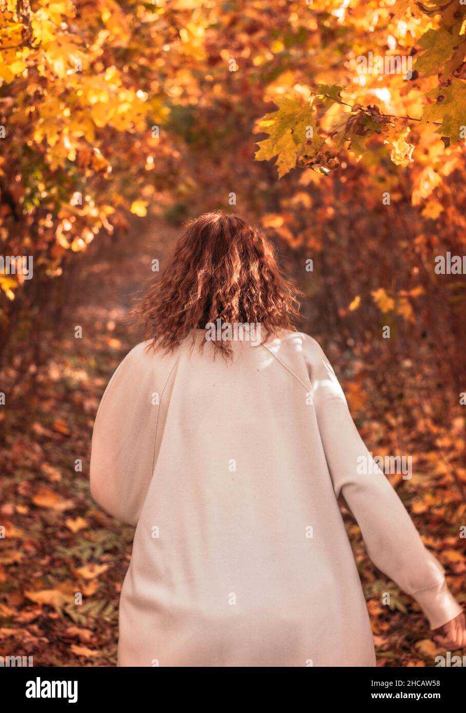 Rear view of a fashionable woman walking on an autumnal walkway Stock ...
