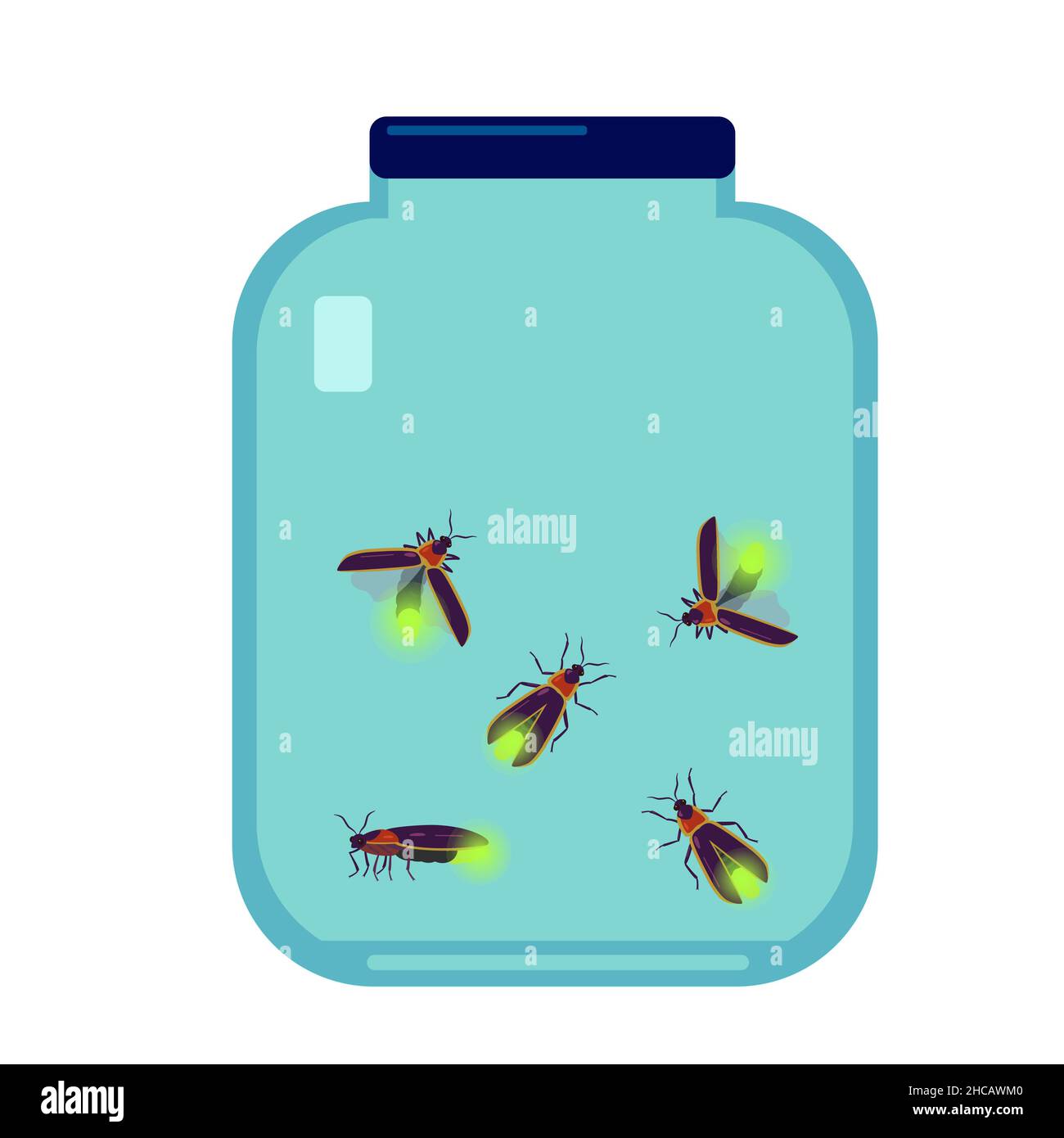 Vector illustration of firefly beetle in glass bottle isolated on white background. Stock Vector