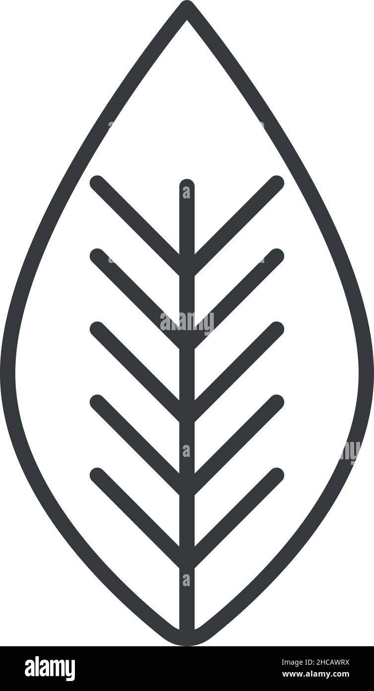 leaf icon on white background Stock Vector Image & Art - Alamy