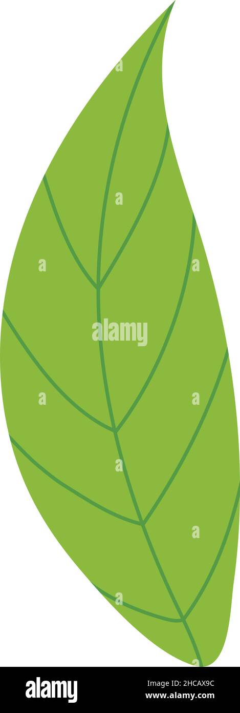 green leaf icon on white background Stock Vector Image & Art - Alamy
