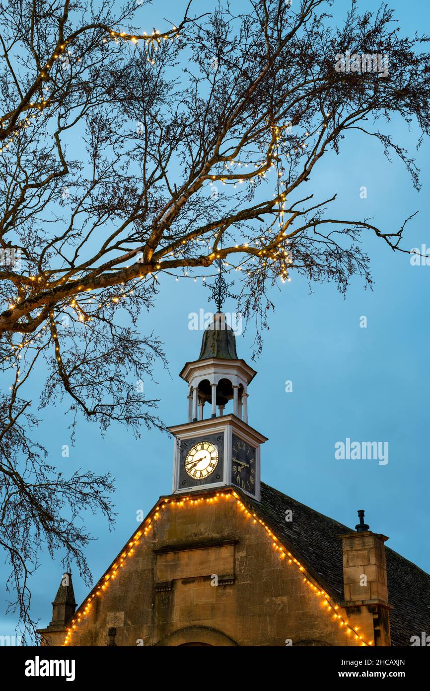 Christmas Lights in the early morning around a silver birch tree in