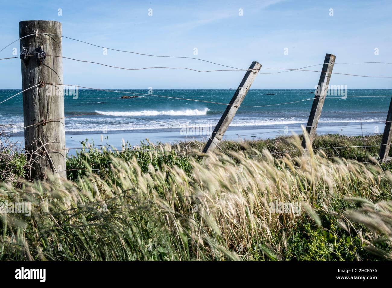 Post and wire fence beside beach at Glenburn, Wairarapa, North Island, New Zealand Stock Photo