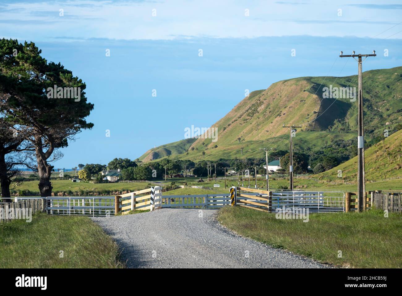 Country road, Glenburn, Wairarapa, North Island, New Zealand Stock