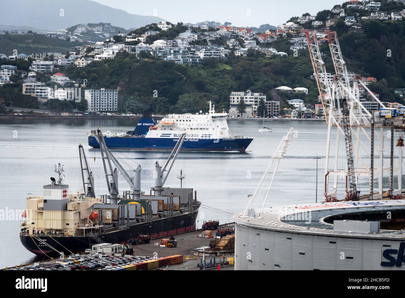 Ships in Wellington harbour, Wellington, North Island, New Zealand Stock Photo