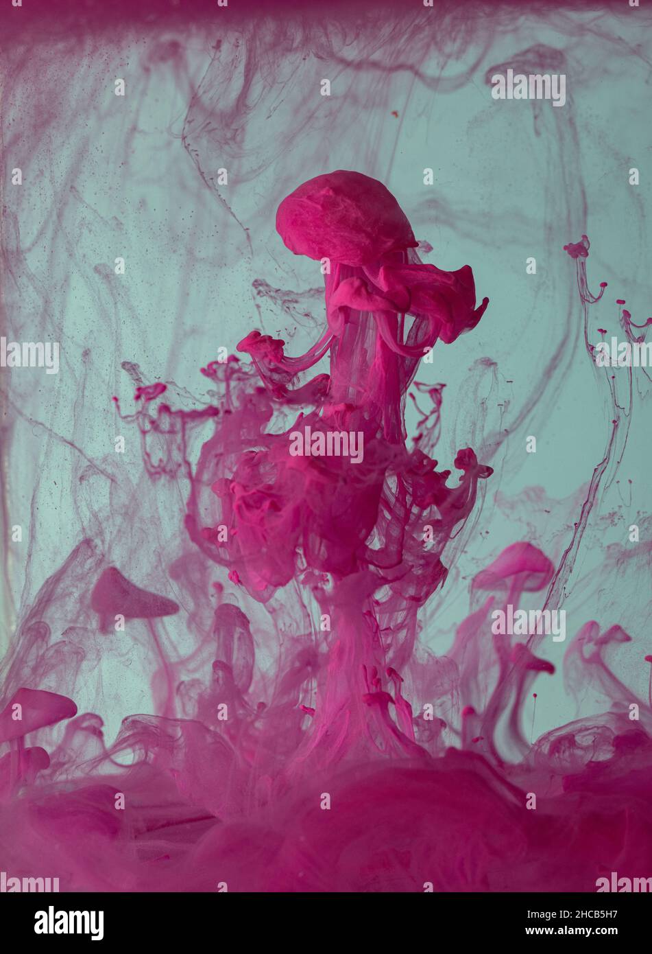 Explosion of colored fluid, ink, dye and neoned liquid on blue-gray ...