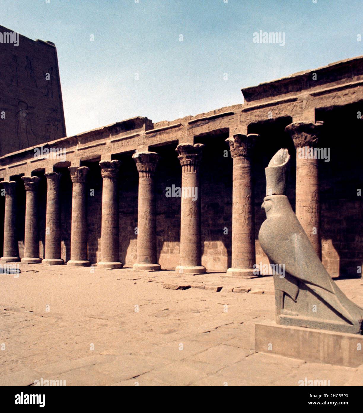 FIGURA DE DIOS HORUS EN EL PATIO - FOTO AÑOS 70. Location: HORUS TEMPLE ...