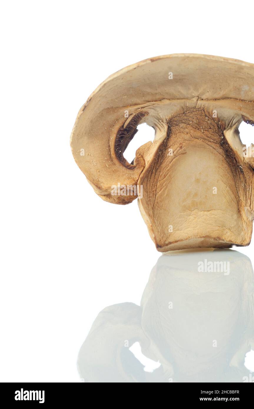 Slice Dried Porcini Mushrooms Stock Photo Alamy