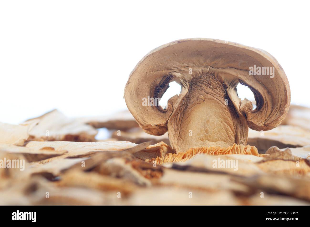 Slice Dried Porcini Mushrooms Stock Photo Alamy