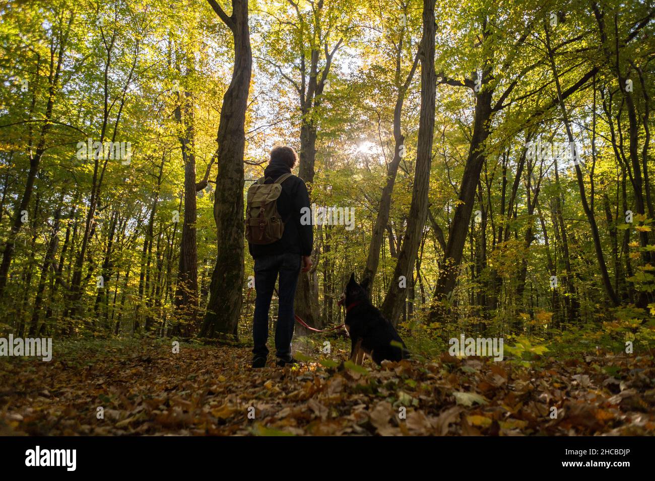 Man hiking with dog hi-res stock photography and images - Alamy