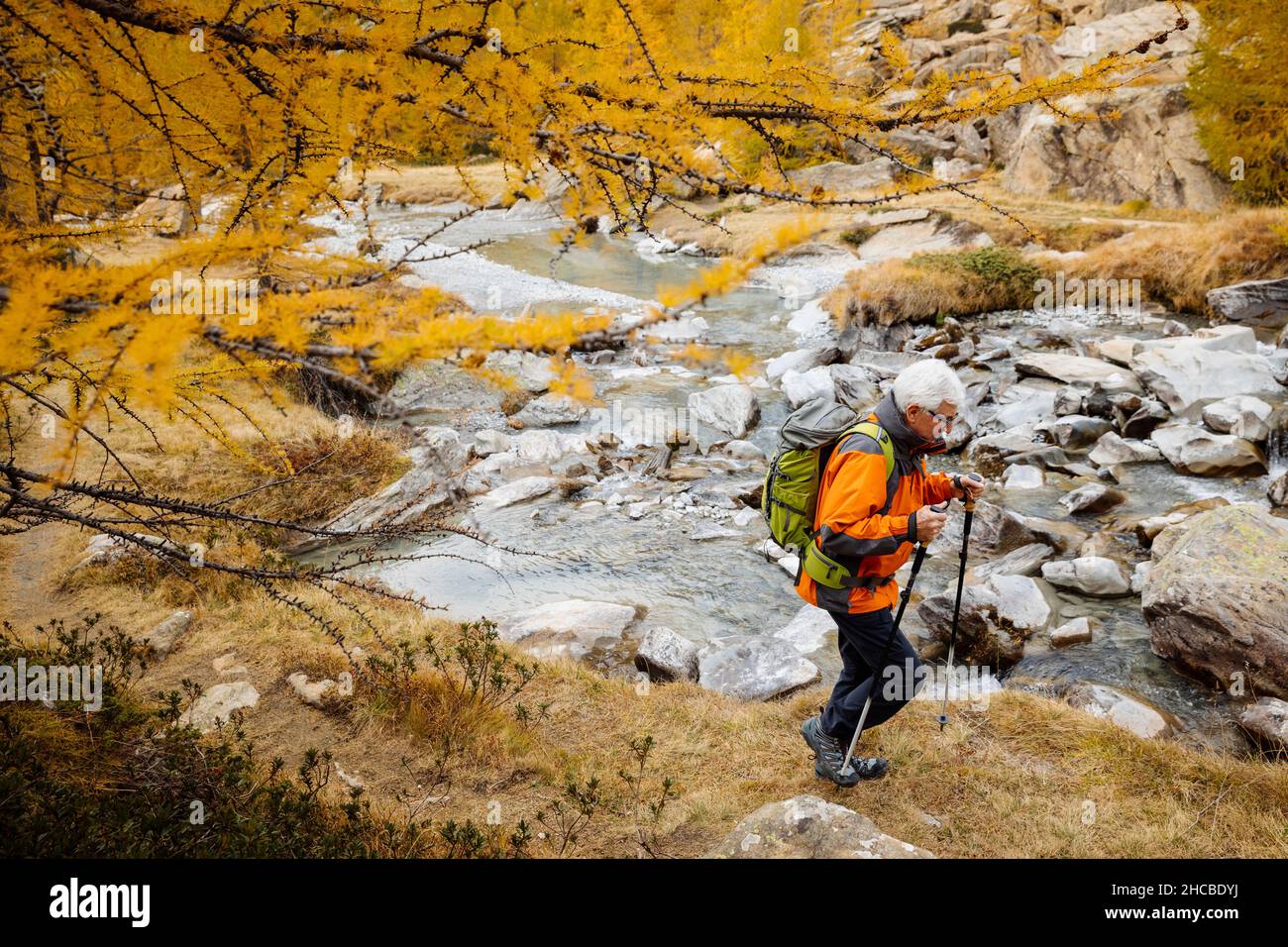 Hiker poles hi-res stock photography and images - Alamy