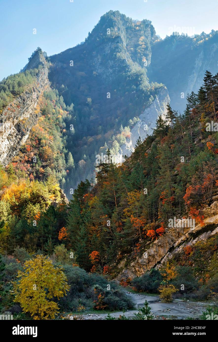 Forested valley in Caucasus Mountains at autumn dawn Stock Photo - Alamy