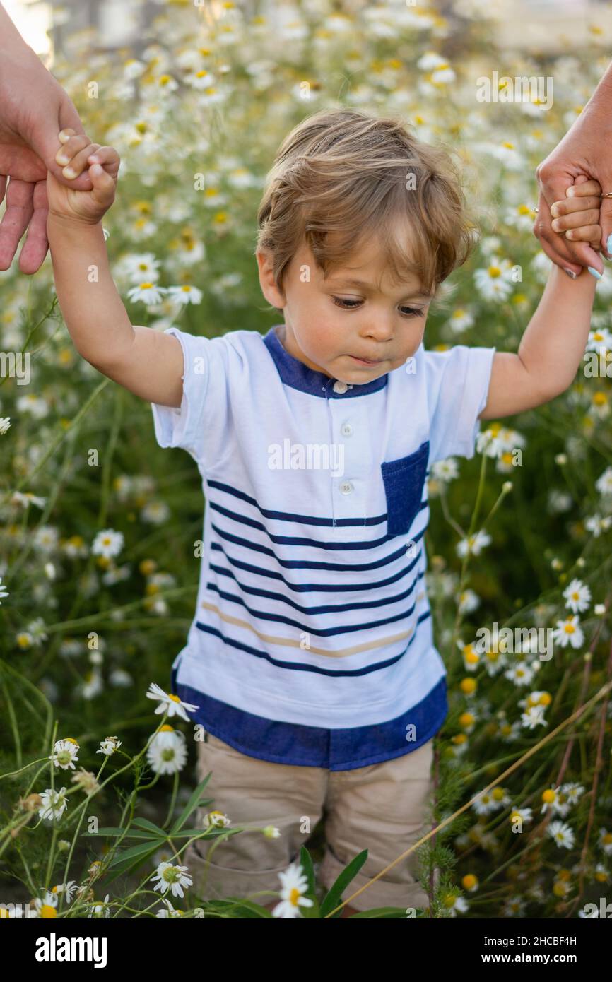 Son holding hands of parents walking in meadow Stock Photo