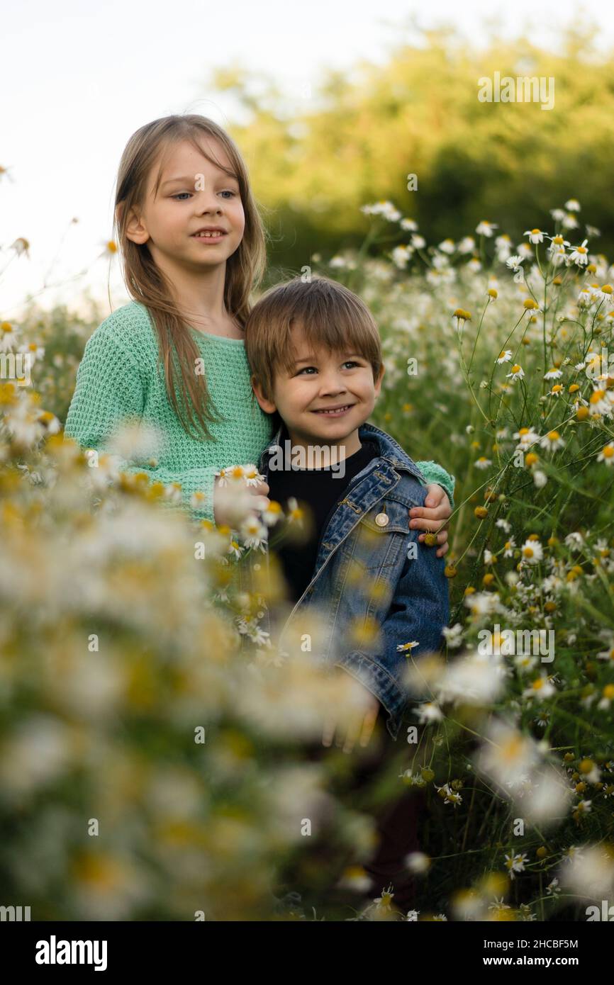 Sister standing with arm around brother in meadow Stock Photo
