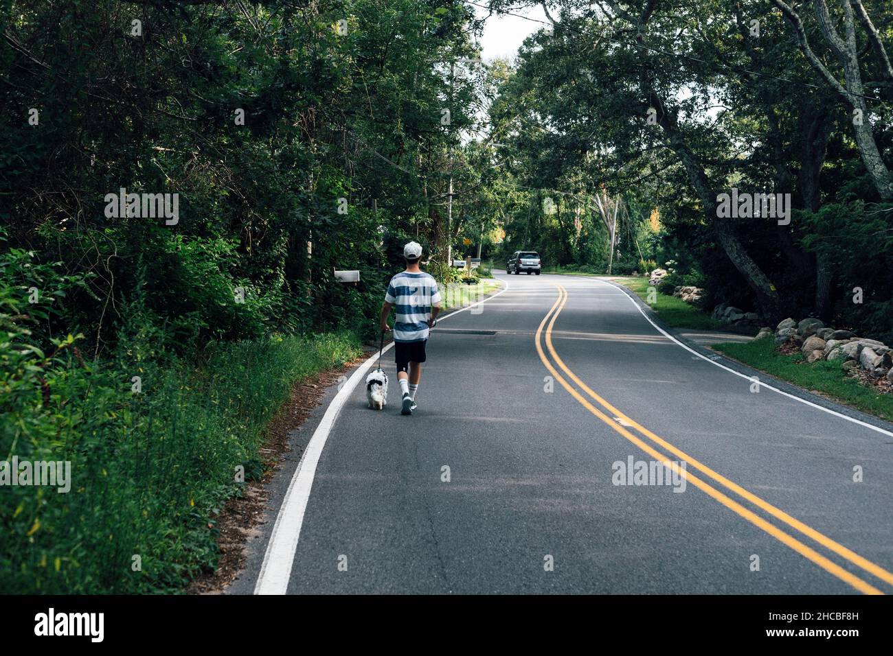 Man walking with Cavapoo dog on road Stock Photo