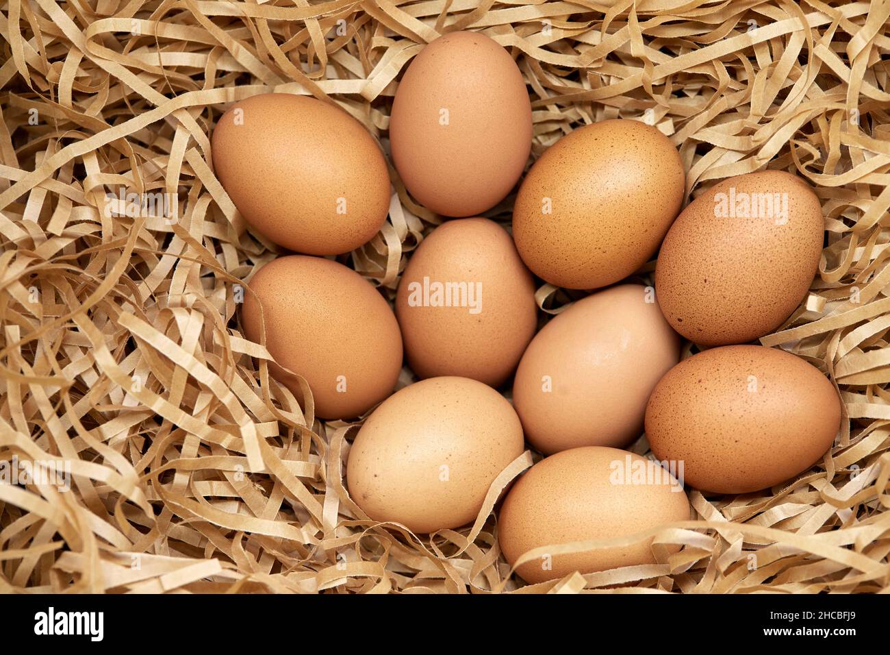 Fresh brown chicken eggs in th hay nest Stock Photo - Alamy