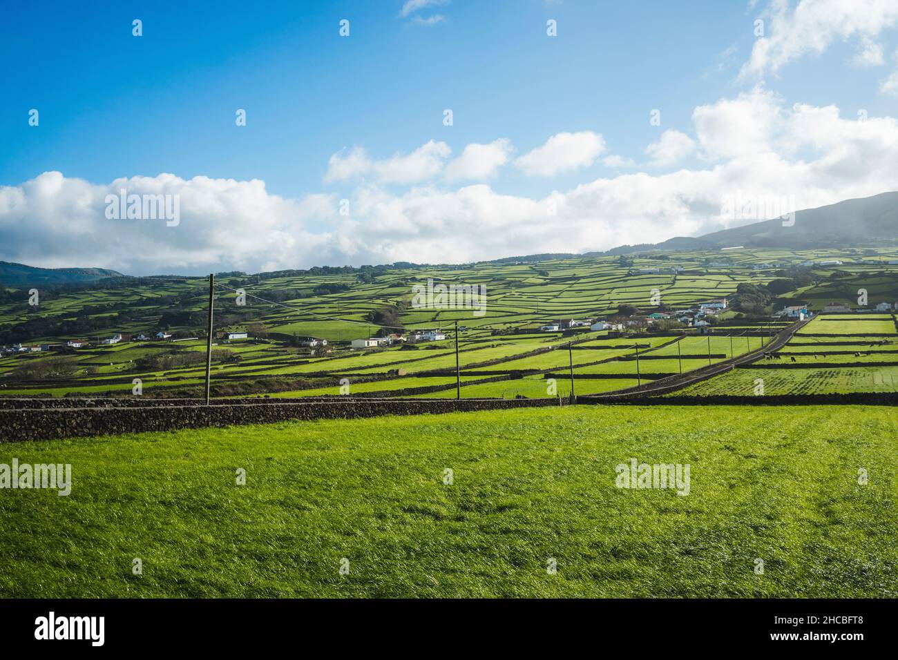 Scenic view of green landscape, Terceira Island, Azores, Portugal Stock Photo
