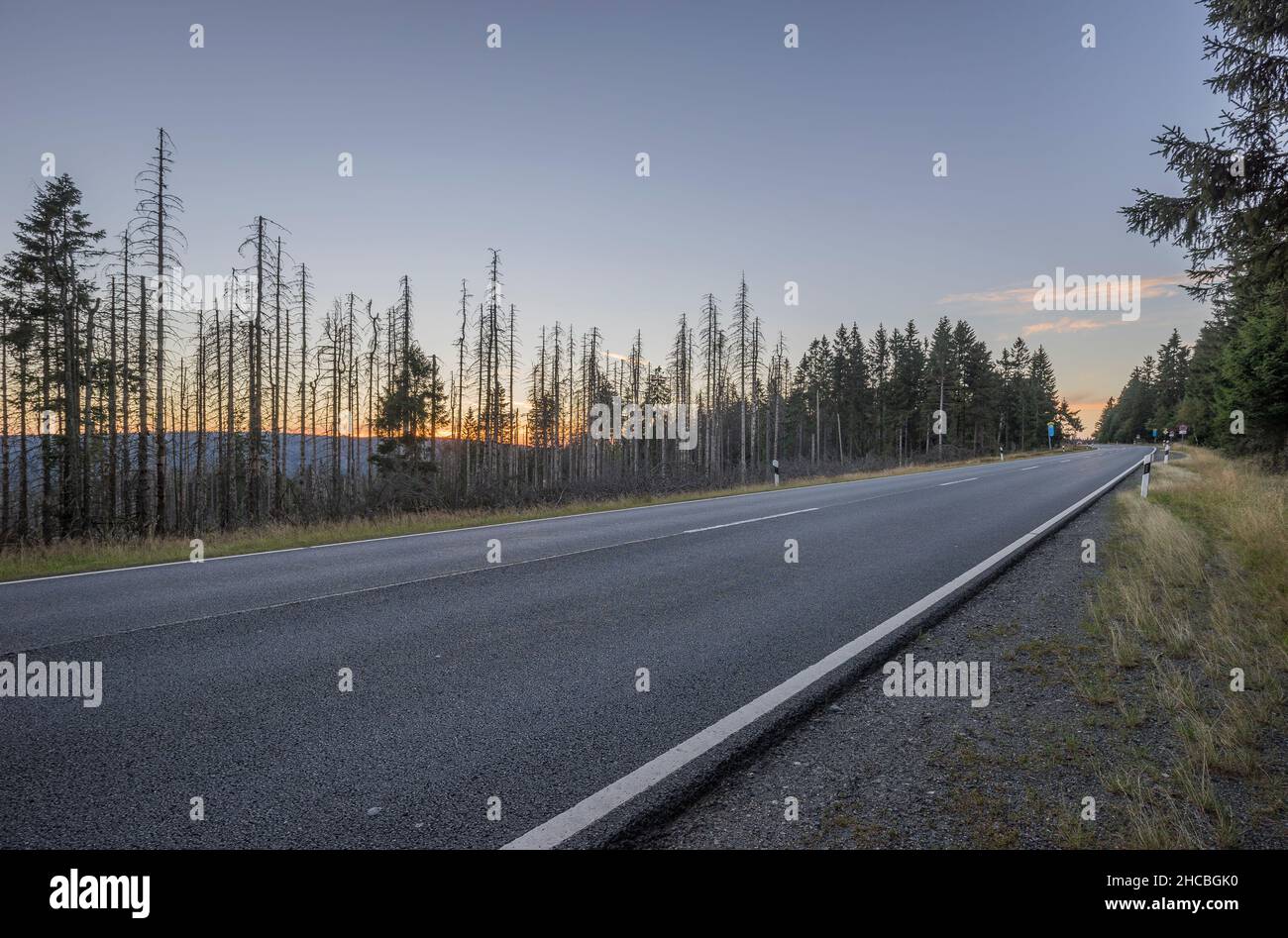 Empty asphalt road in Harz National Park at dusk Stock Photo