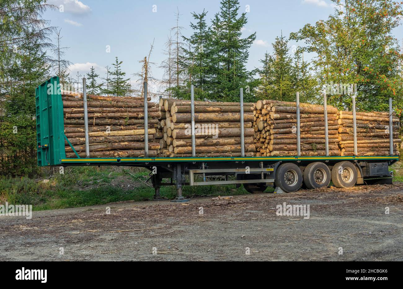 Log truck filled with timber cut in Harz National Park Stock Photo