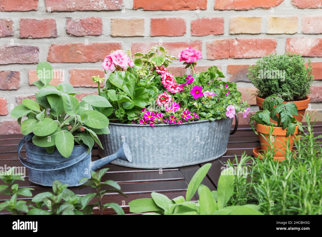 Various herbs and flowers cultivated in balcony garden Stock Photo
