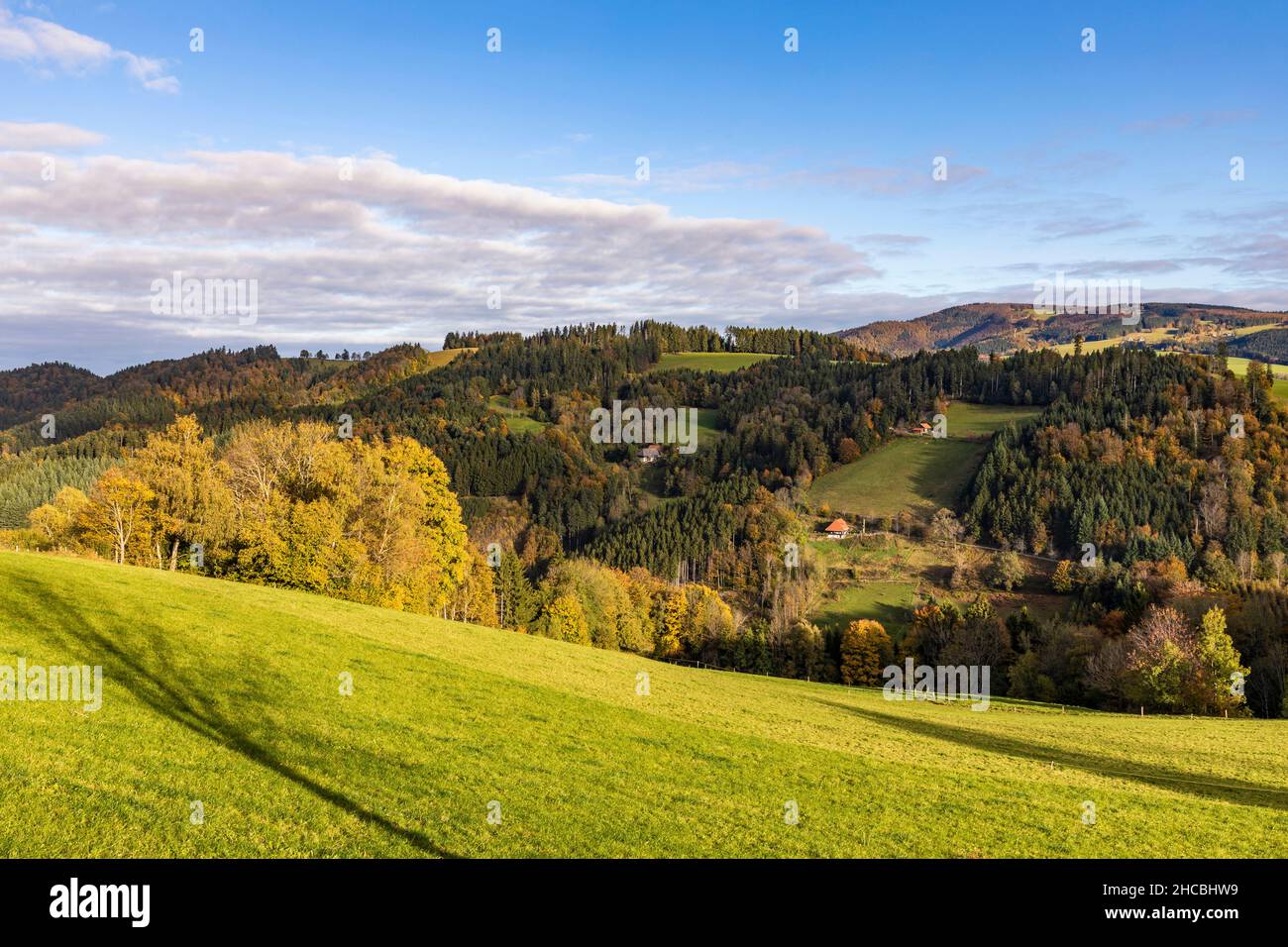 Autumn black forest view hi-res stock photography and images - Alamy