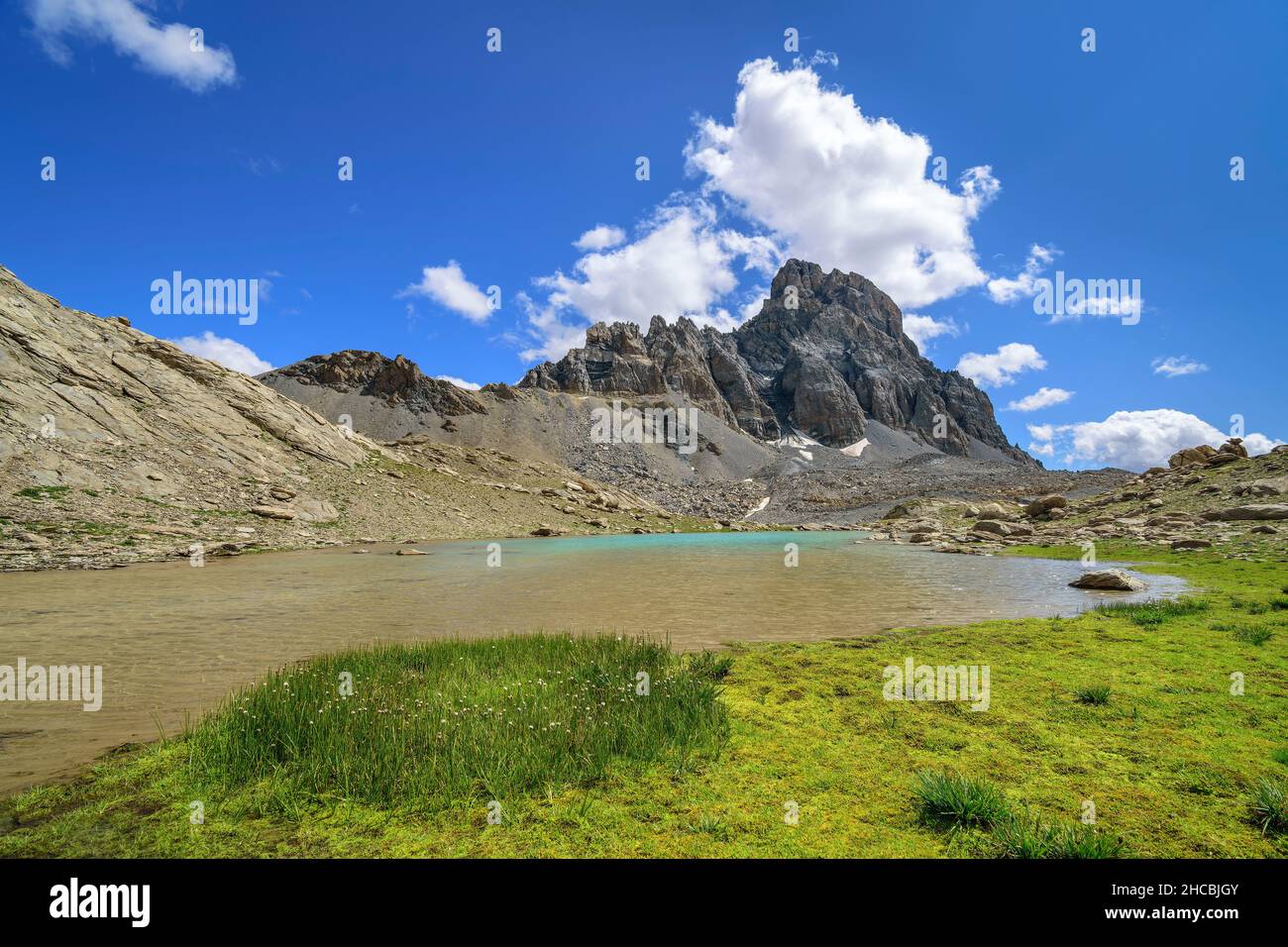 Springtime lakeshore in Maira Valley Stock Photo - Alamy