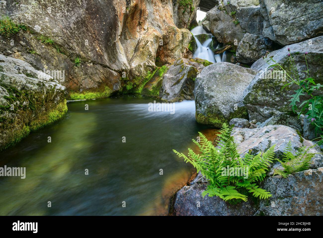 Stream in the alps hi-res stock photography and images - Alamy