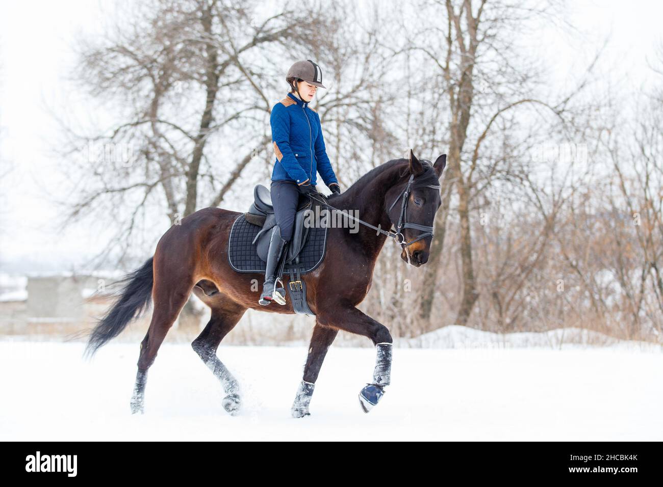 Young woman riding horse in winter park on the snow Stock Photo