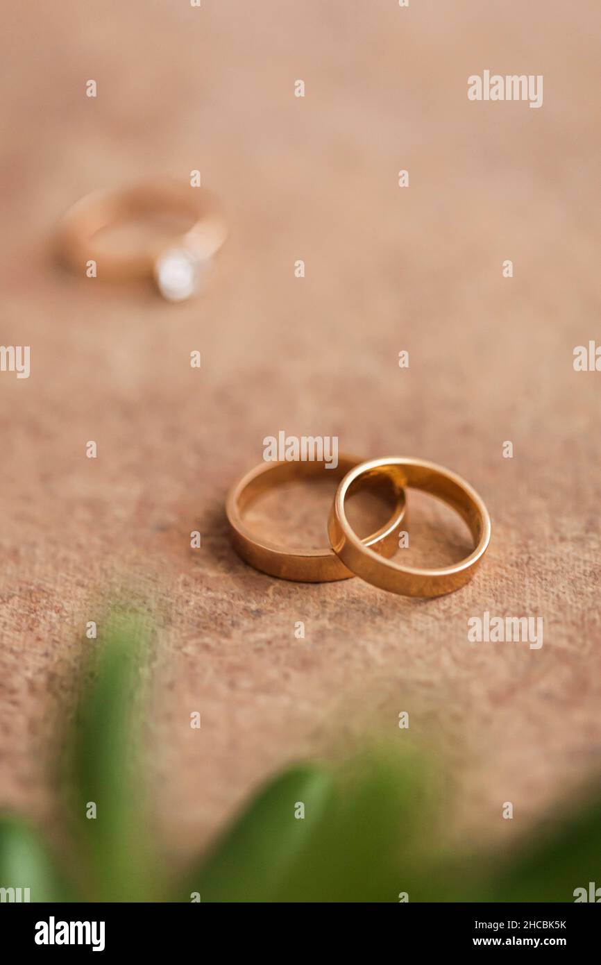 Studio shot of tray with flower heads, engagement ring and golden wedding rings Stock Photo