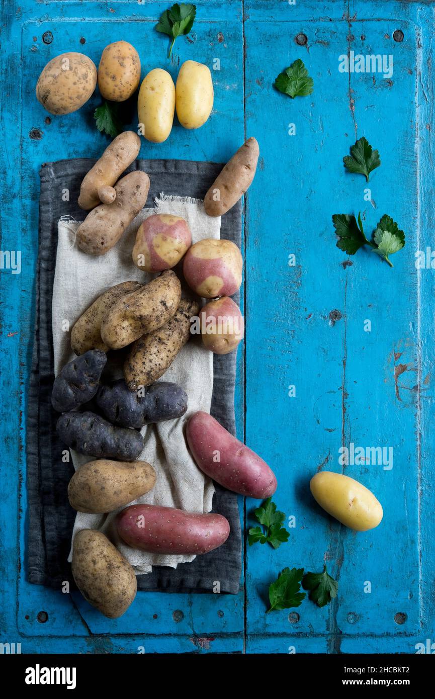 Studio shot of different variety of raw potatoes lying on blue painted wooden surface Stock Photo