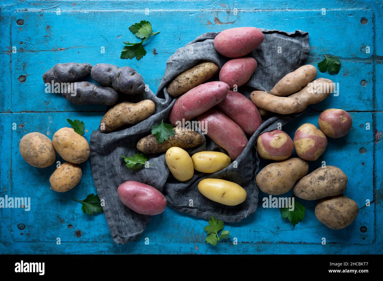 Studio shot of different variety of raw potatoes lying on blue painted wooden surface Stock Photo