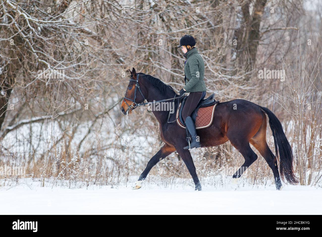 Young woman riding horse in winter park on the snow Stock Photo