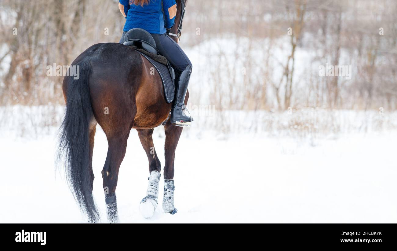 Equestrian sport or horse riding winter concept image with copy space Stock Photo