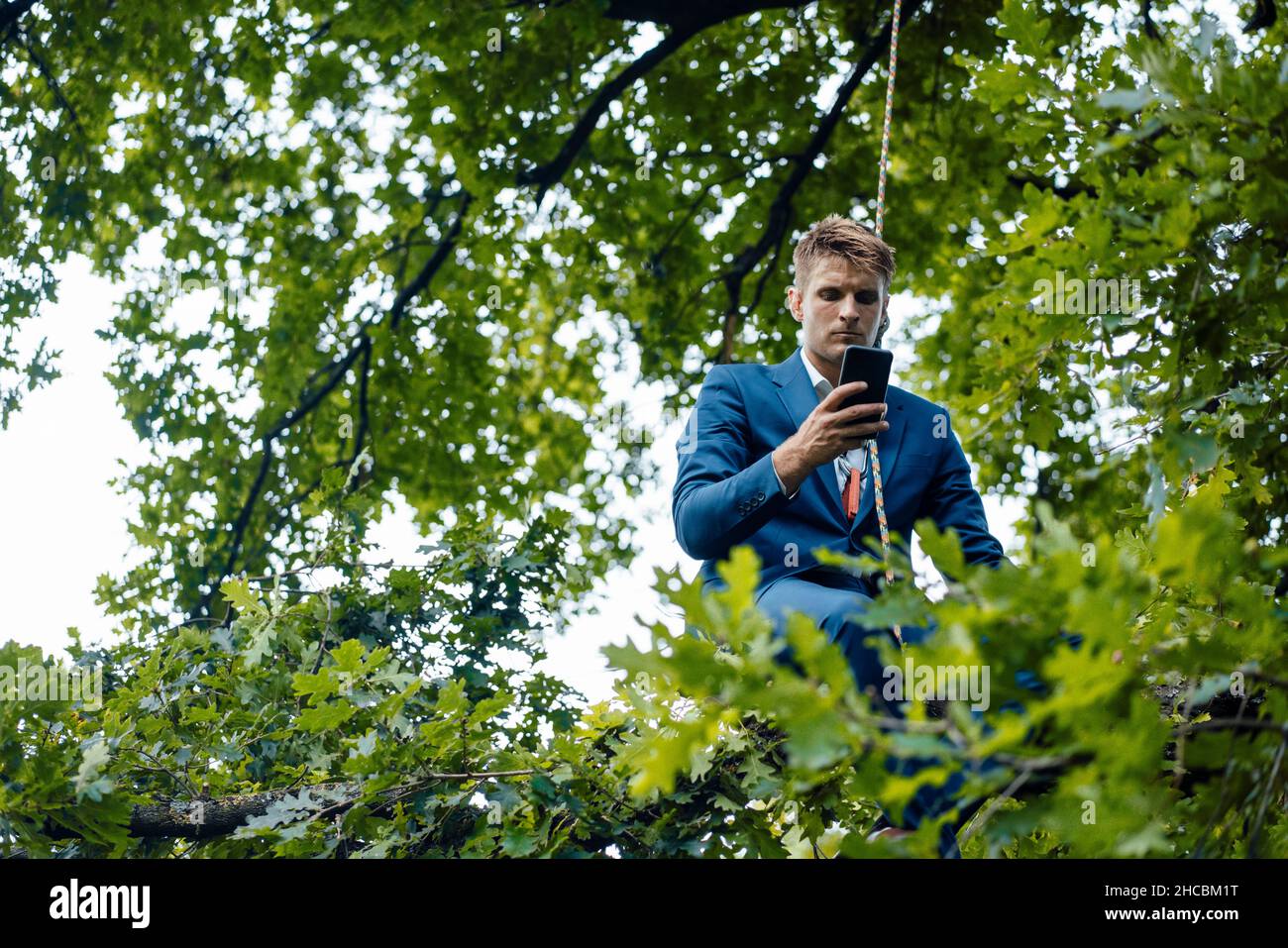 Businessman tied up with rope relaxing on tree branch using mobile phone Stock Photo