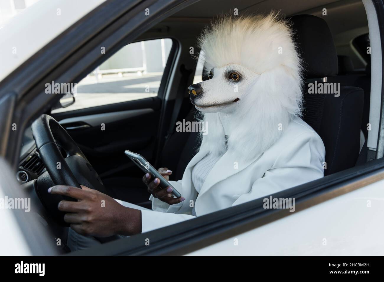 Woman wearing white dog mask using mobile phone in car Stock Photo