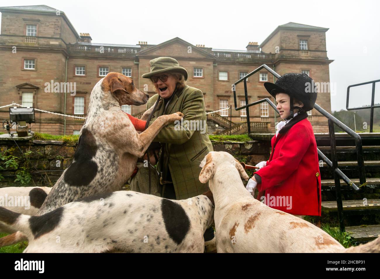 Hagley, Worcestershire, UK. 27th Dec, 2021. Hazel Sheppard with 8-year-old Henley Mills and the hounds of the Albrighton and Woodland Hunt at the first hunt at Hagley Hall since the Coronavirus pandemic. The Albrighton and Woodland Hunt meet annually at Hagley Hall in Worcestershire. Credit: Peter Lopeman/Alamy Live News Stock Photo