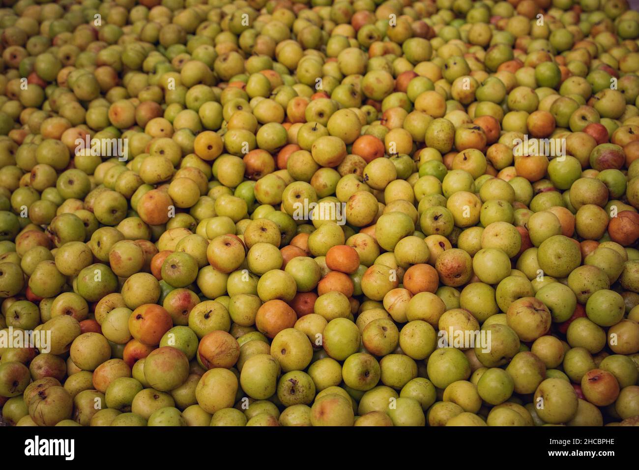 Bangladeshi Jujube fruits for sale in a village market Stock Photo