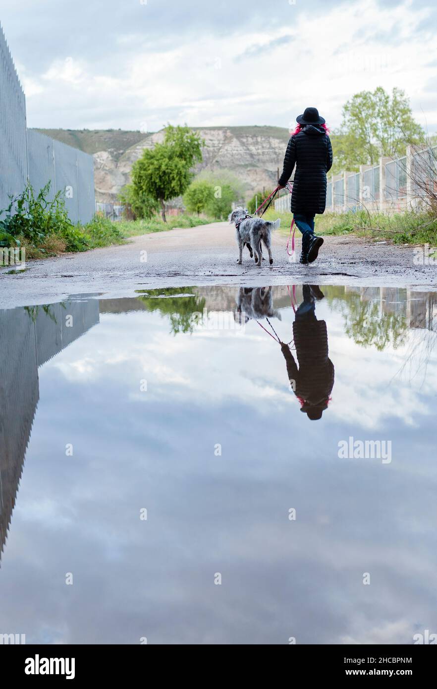 Woman walking with dog reflection on road puddle Stock Photo