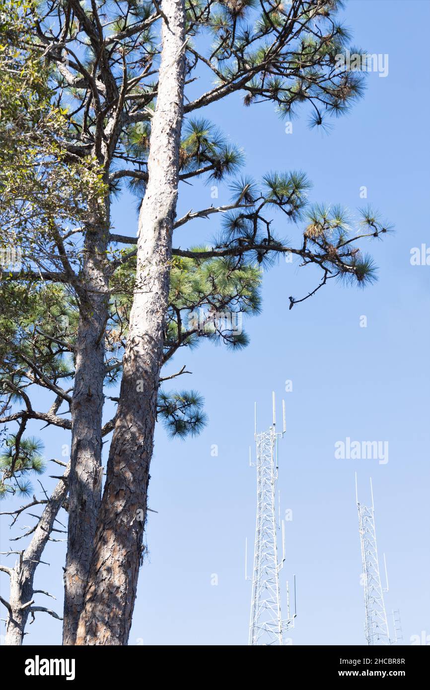 Cable largo hi-res stock photography and images - Alamy