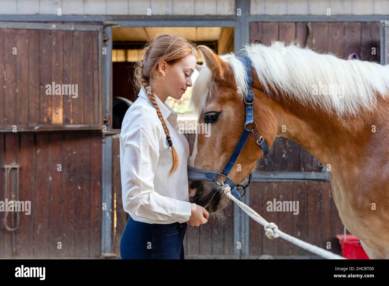 Young woman with horse standing at stable Stock Photo