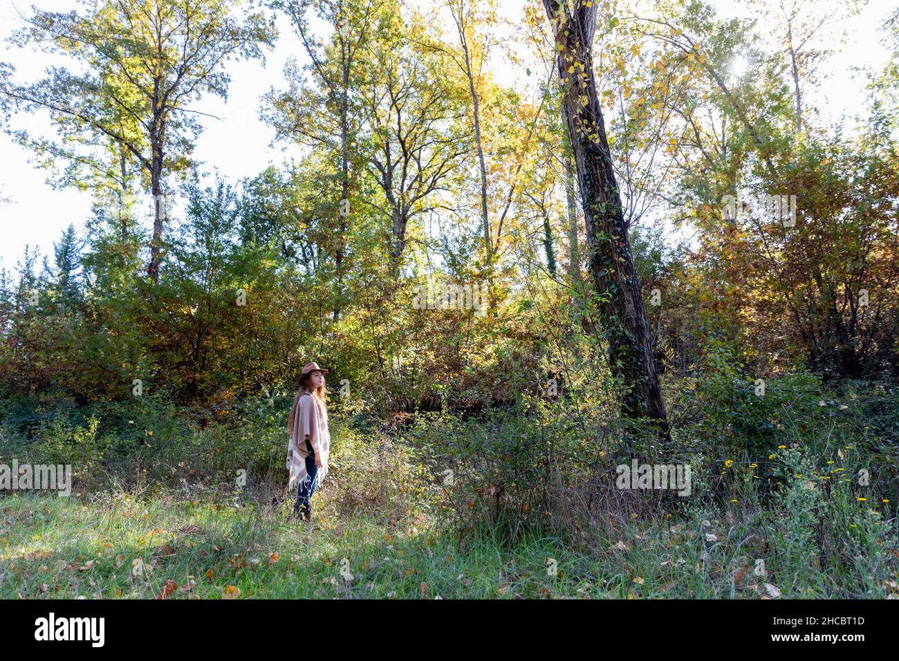 Female woman trekking forest hi-res stock photography and images - Alamy