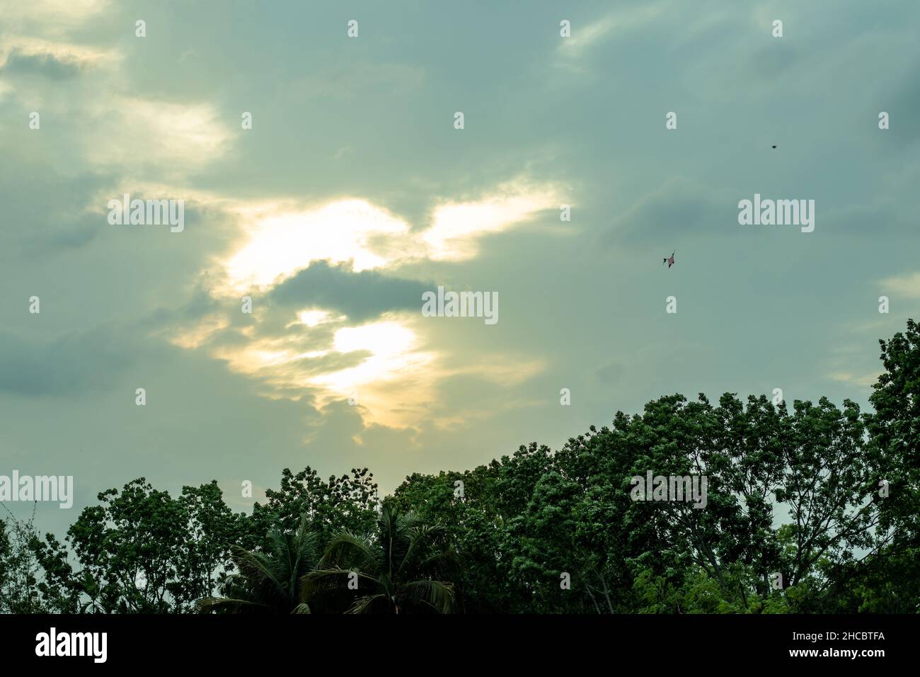 Green leaves under blue sky and white clouds during daytime. The sky with green stalks and black clouds behind the leaves is a beautiful moment Stock Photo