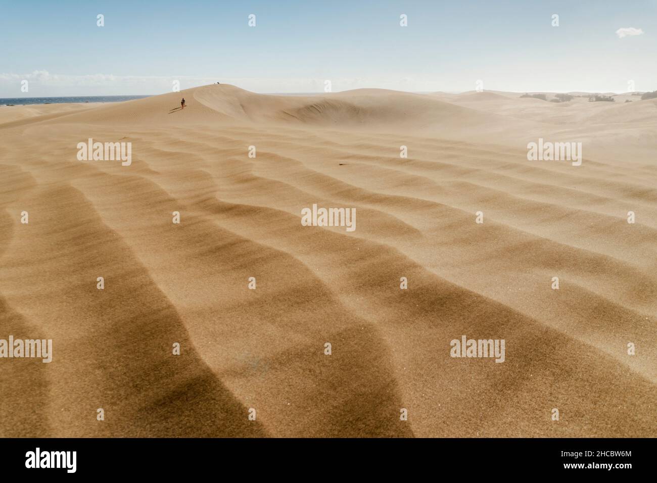 Beautiful landscape of dunes in windy Maspalomas Nature Reserve, Gran