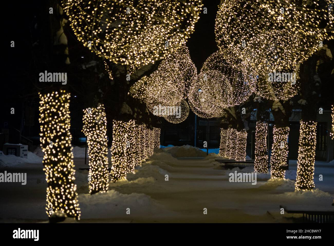 Winter night park with lanterns, pavement and trees covered with lights ...